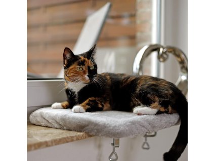 71VSD+4gL2L. AC SL1500