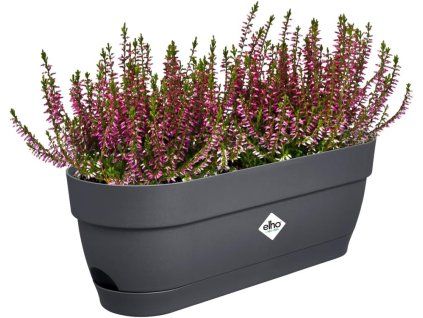 61PhCeeVnfL. AC SL1000