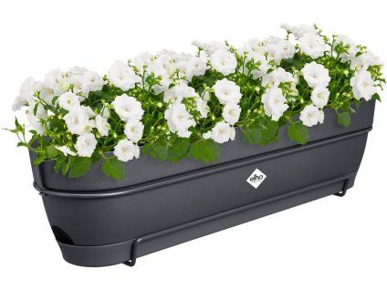 61yWwaIDdIL. AC SL1000