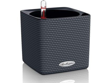 71Tt1z59iaL. AC SL1500