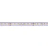 bily-led-strip-24v-lux-miners-5w-126-led-cri90-5
