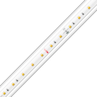 LED Streifen KLUŚ KWP-14K-0480-24 4,8W/m 70LED/m CRI90+ IP65 KLIK