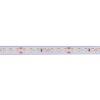 led-streifen-weiss-24v-lux-miners-ip65-8w-126-led-cri90-premium-5