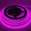 LED pásik fialový 24V | IP20 | 8W | 126LED | Premium