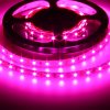 8147 1 led pasek pro rust rostlin 12v ip20 12w 60led