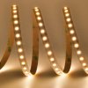 Biely LED pásik 12V | IP20 | 9,6W | 120LED | CRI80+