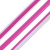 fuchsia 01