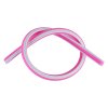fuchsia 02