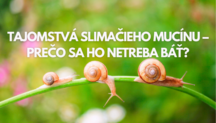 Tajomstvá slimačieho mucínu – prečo sa ho netreba báť?