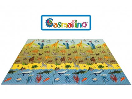 casmatino abc anials