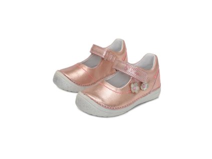 ddstep 030 1005b 1 6