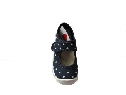 vyrp12 5FLEXIBLE BLUEBERRY 3