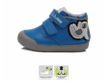 ddstep 066 469a