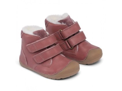 petit mid winter dark rose