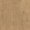 Dub Hamilton prírodný (H3303)