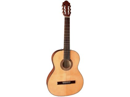 vyr 86Kytara PS500 171