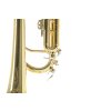 vyrp15 2389Bb trumpeta Roy Benson TR 101 klapky Hudebniny kMusic cz