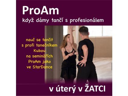 pro am zatec web