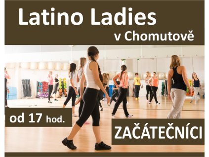 latino chomutov zac