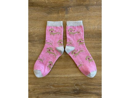 Ponožky pejsek