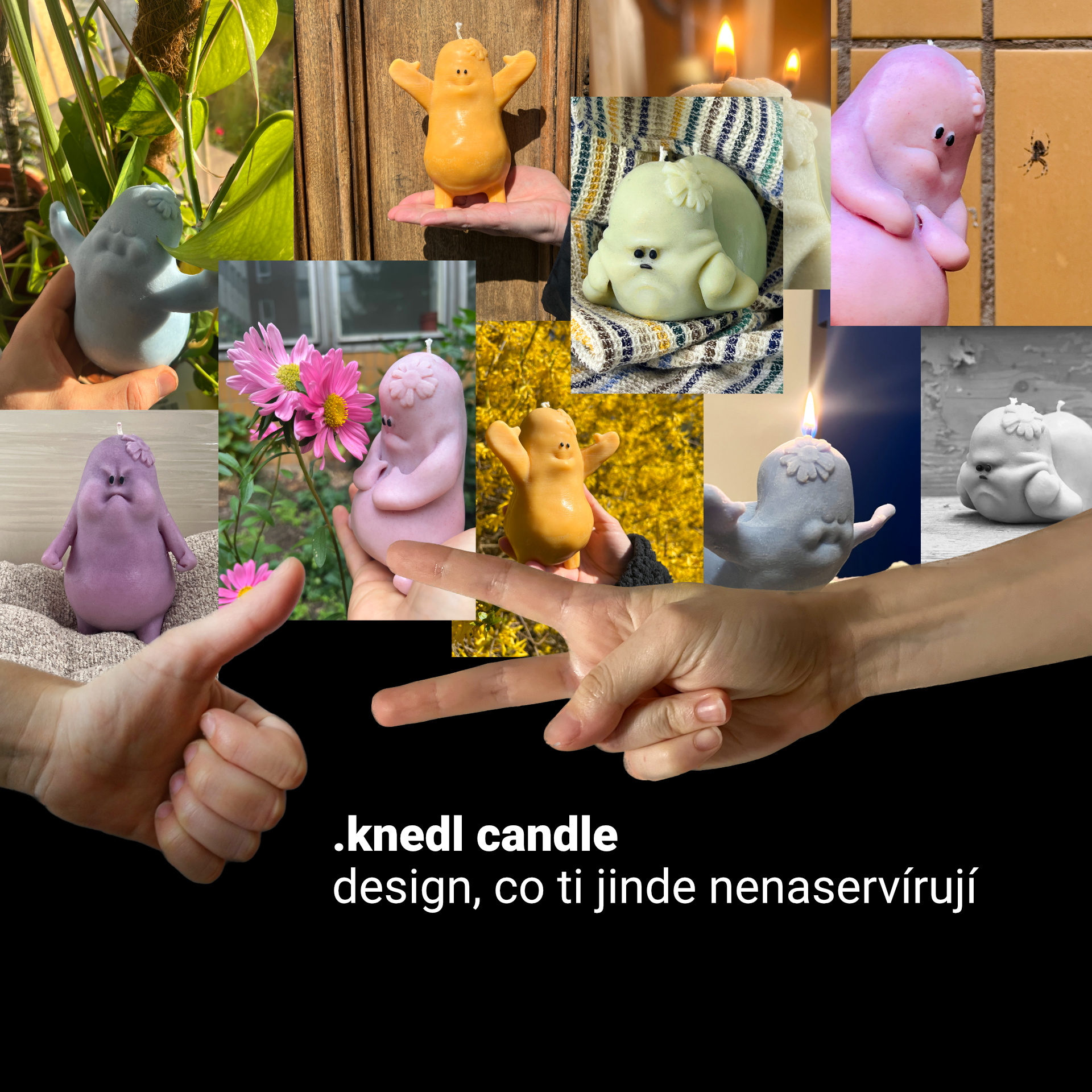 Do domácnosti