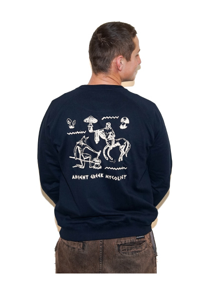 agi tnd adm load1 44