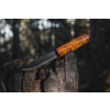 helle viking curly birch 200096 4