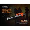99589 1 fenix svietidlo atex wf05e