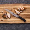 zwilling kuchynsky noz fourstar na sunku 20 cm 3