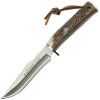 noz muela pointer stag 13a