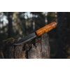 helle viking curly birch 200096 4