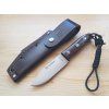 2684 2 noz miguel nieto bosque 145 g