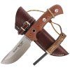 2564 1 noz muela aborigen 12c