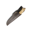 5060 2 noz puma ip la cabra