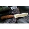 3137 1 zlatoust air polarny 2 orech