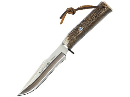 noz muela pointer stag 13a