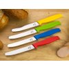 Böker Manufaktur Sandwich Knife Display Mix 72 Pieces 03BO325