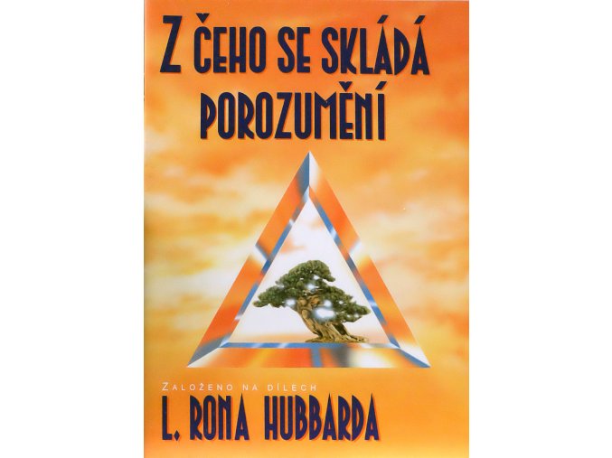 Z čeho se skládá porozumění