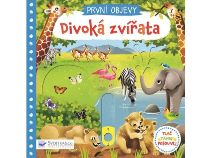 obrázek 2022 10 09 110924620