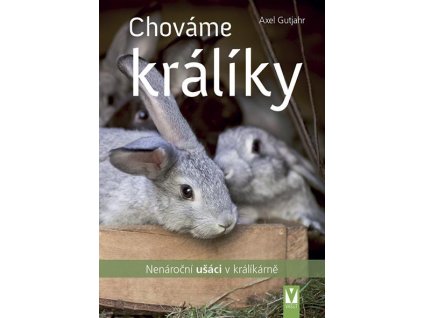 chovame kraliky