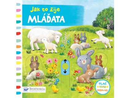 mlá