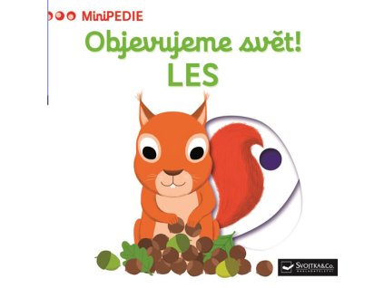 large 2024 08 27T110606.853