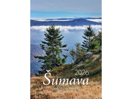 large 2025 05 29T120749.549