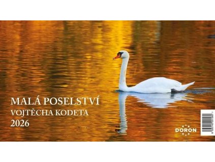 large 2025 06 03T111921.821