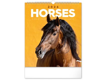 large 2025 06 04T115236.041