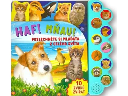 large 2025 06 04T141959.222