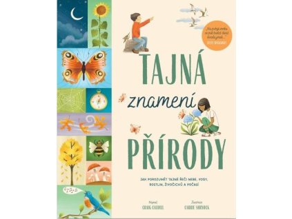 large 2025 06 04T143004.691