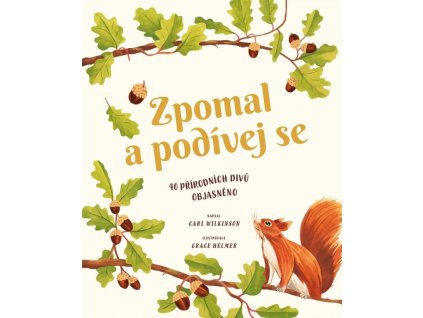 large 2025 06 04T143705.634