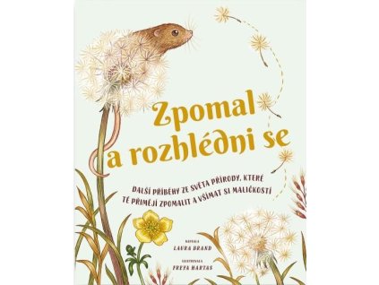 large 2025 06 18T132233.067