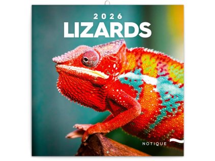 large 2025 07 10T110728.241